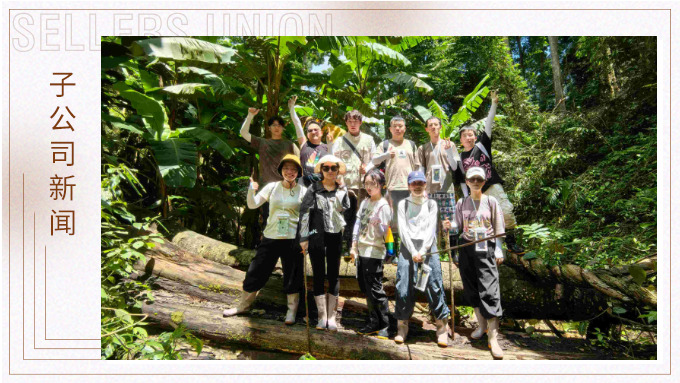 探雨林秘境，与森林同呼吸——记景驰年中西双版纳团建旅游